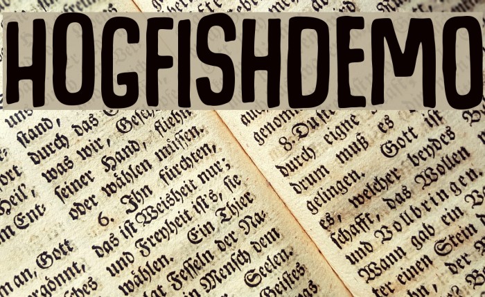 HogfishDEMO Example 2