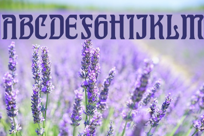 Hohenzollern Example 3