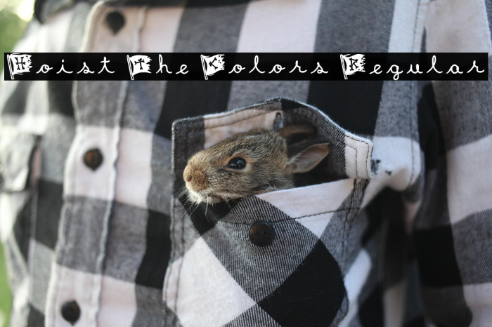 Hoist The Colors Regular Example 3