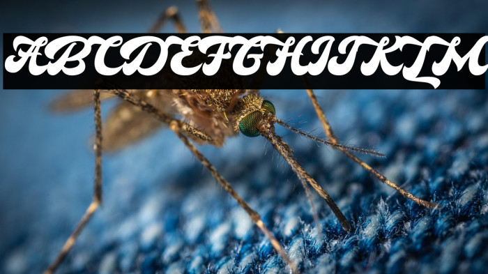 HokaRed-PersonalUse Example 1