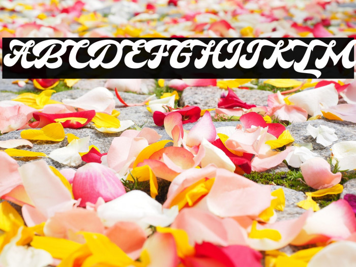 HokaRed-PersonalUse Example 2