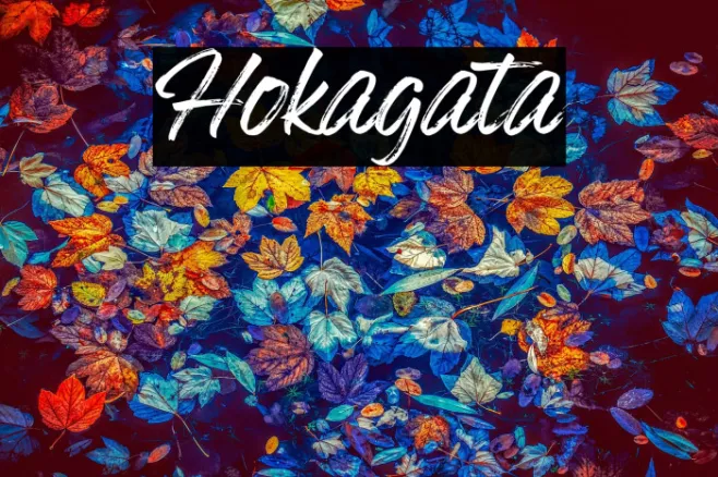 Hokagata Example 1