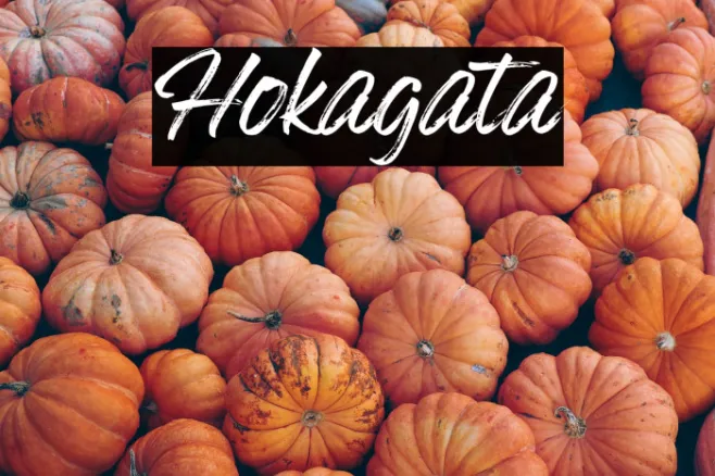 Hokagata Example 2