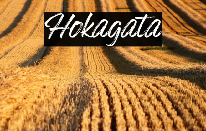 Hokagata Example 3