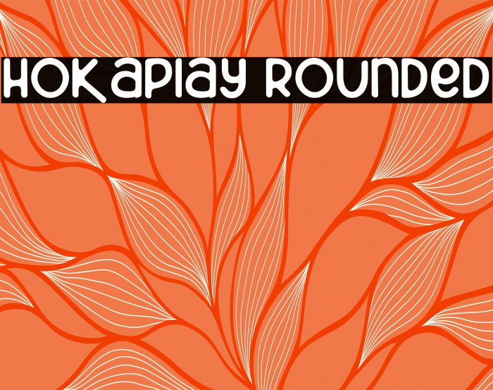 Hokaplay Rounded Example 2