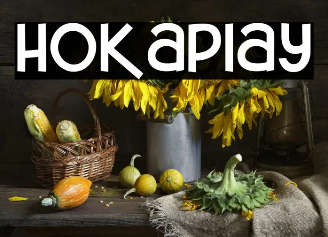 Hokaplay Example 2
