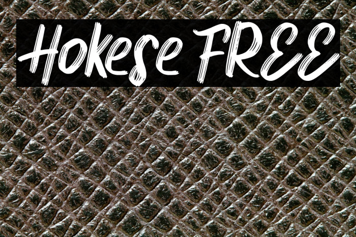 Hokese FREE Example 3