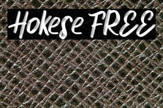 Hokese FREE Example 3