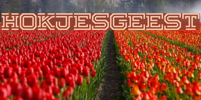 Hokjesgeest Example 1