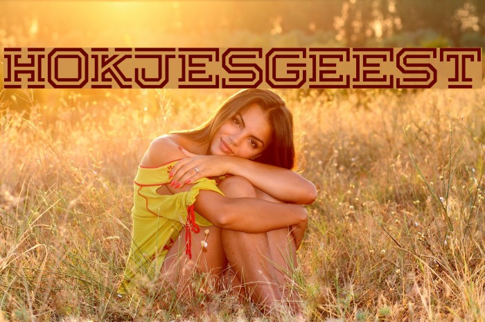 Hokjesgeest Example 2