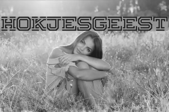 Hokjesgeest Font examples