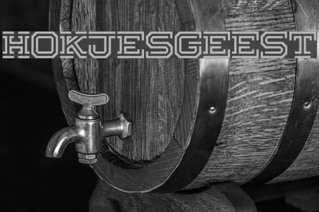 Hokjesgeest Font examples