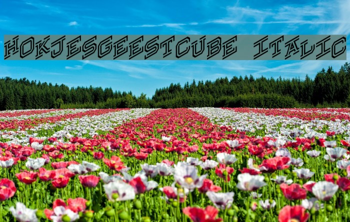 Hokjesgeestcube Italic Example 1