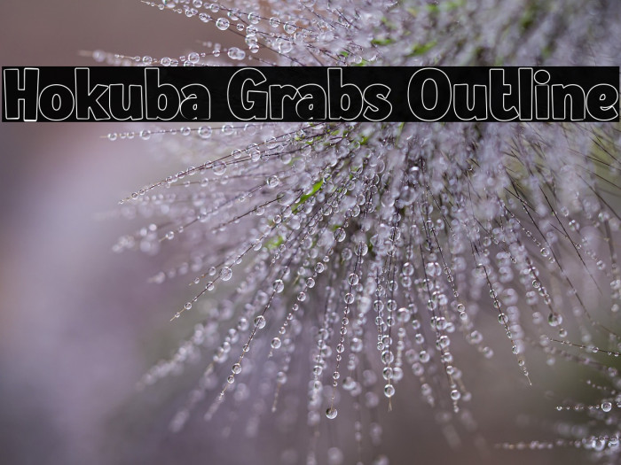 Hokuba Grabs Outline Example 3