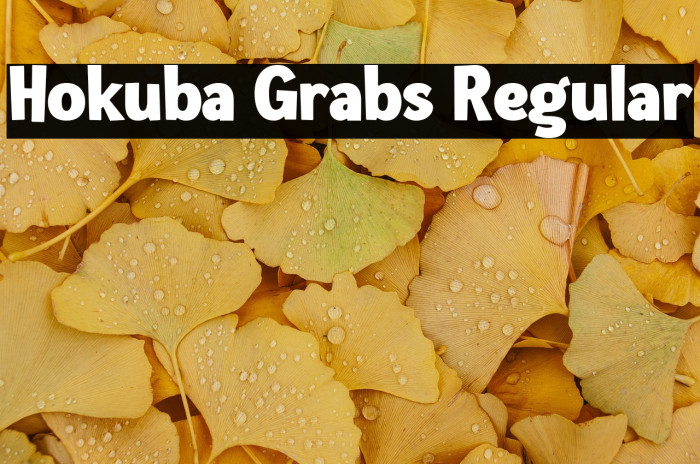 Hokuba Grabs Regular Example 2