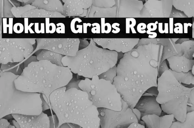 Hokuba Grabs Regular Font examples