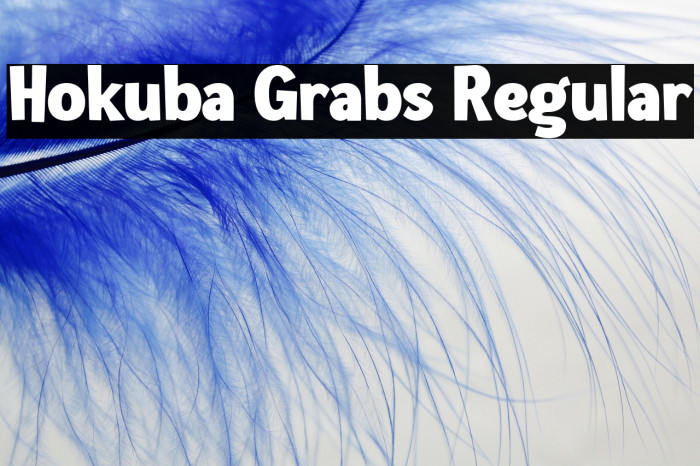 Hokuba Grabs Regular Example 3