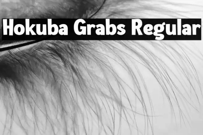 Hokuba Grabs Regular Font examples