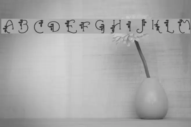 HolLeigh Caps Font examples