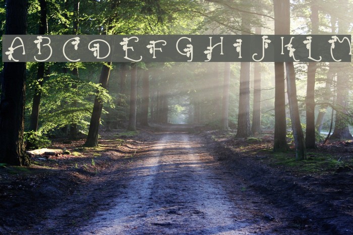 HolLeigh Caps Example 2