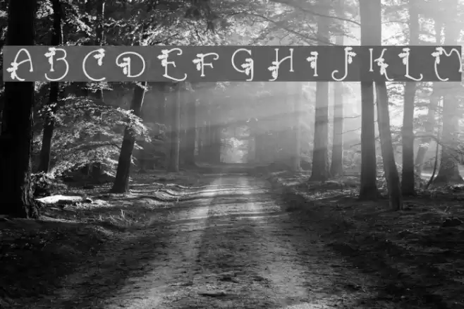 HolLeigh Caps Font examples