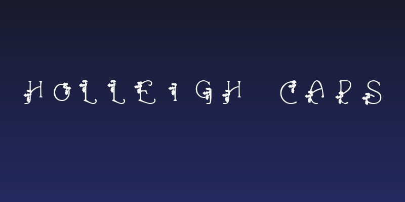 HolLeigh Caps Social Header