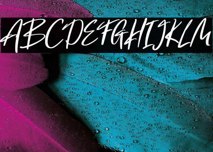 Hola Augusto Example 1