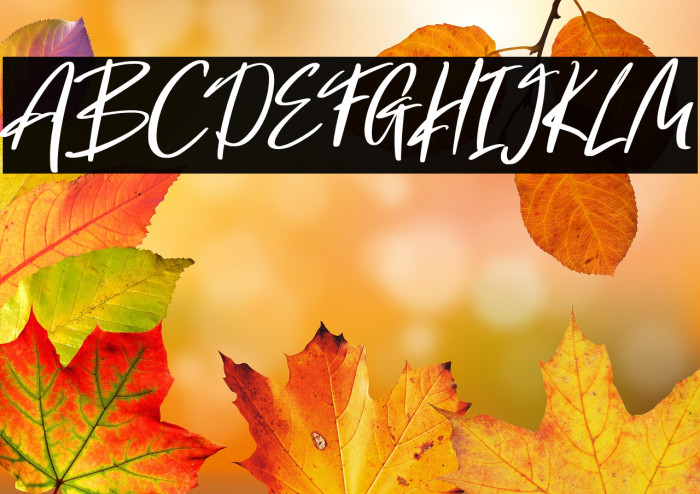 Hola Augusto Example 2