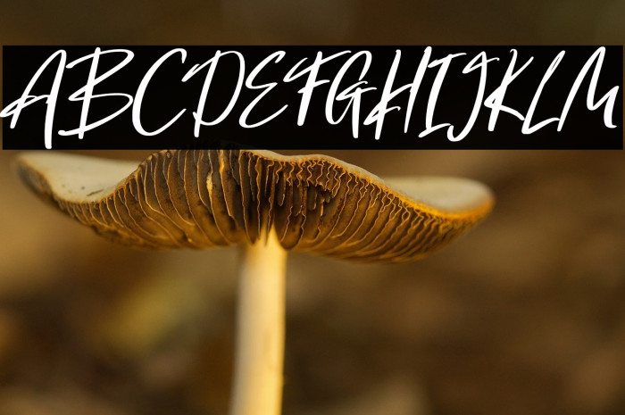 Hola Augusto Example 3