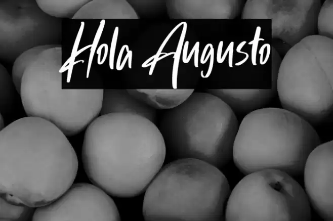 Hola Augusto Font examples