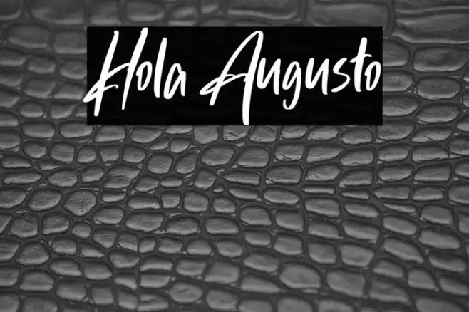 Hola Augusto Font examples