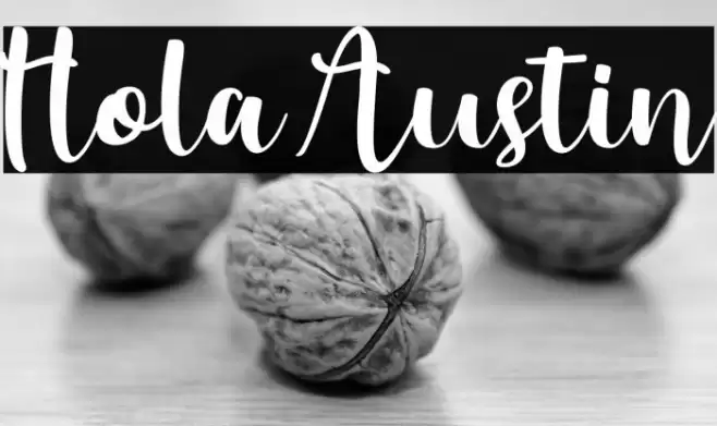 Hola Austin خط examples