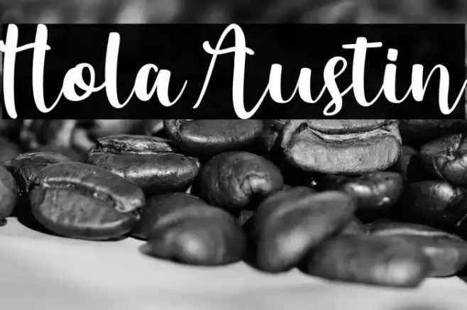 Hola Austin خط examples