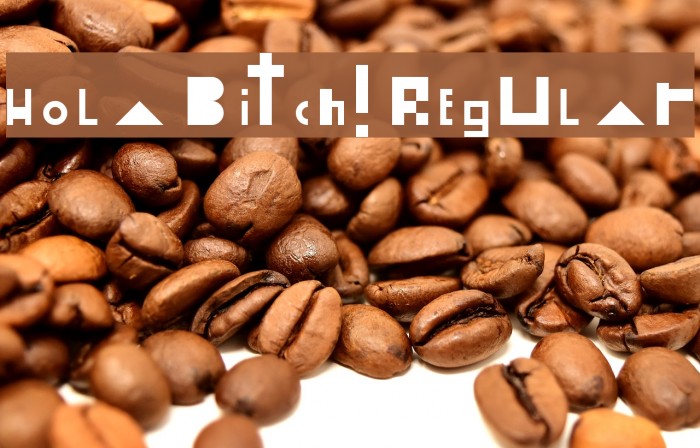 Hola Bitch! Regular Font examples