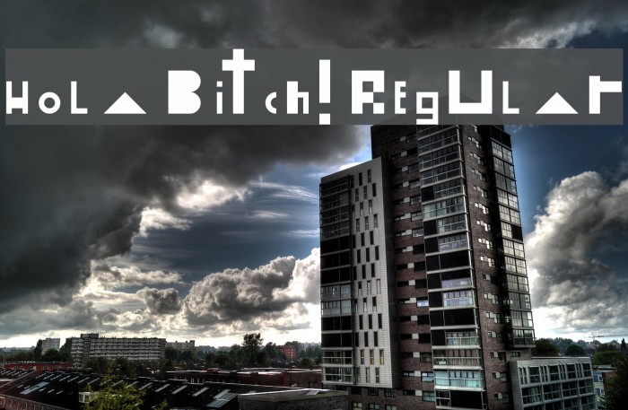 Hola Bitch! Regular Font examples