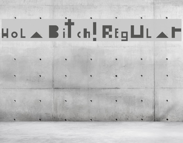 Hola Bitch! Regular Font examples