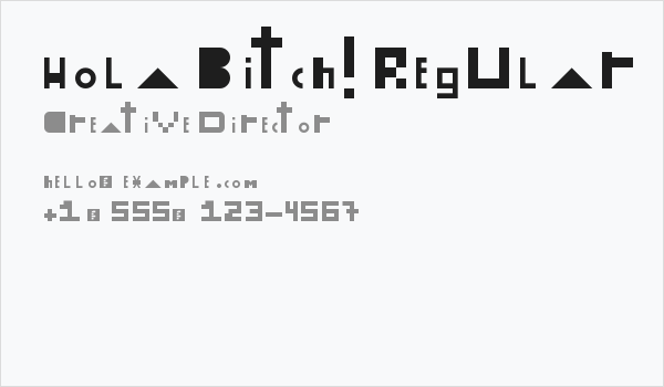 Hola Bitch! Regular Business Card