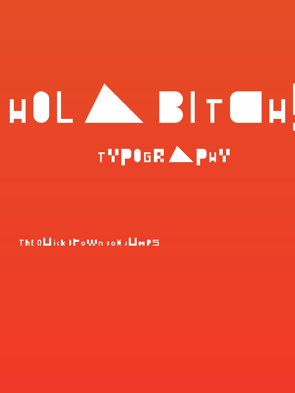 Hola Bitch! Regular Poster