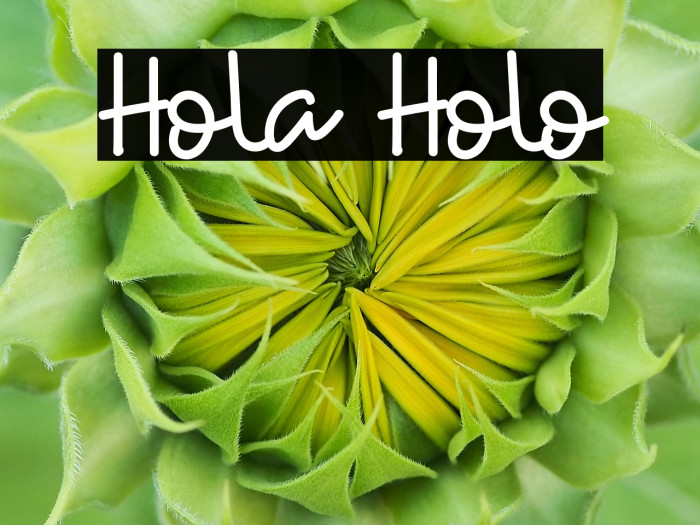 Hola Holo Example 1