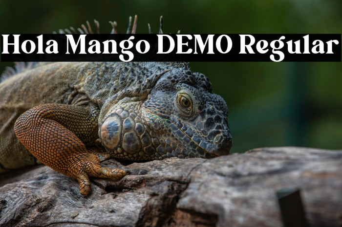 Hola Mango DEMO Regular Example 1