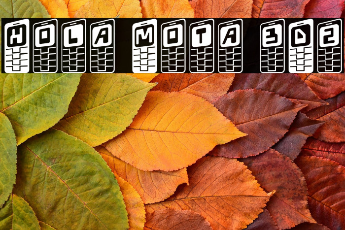 Hola Mota 3D2 Example 1