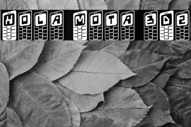 Hola Mota 3D2 Caratteri examples