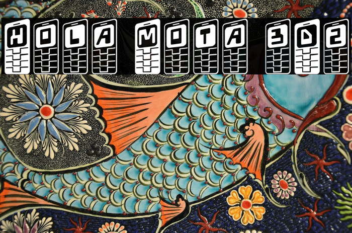 Hola Mota 3D2 Example 3