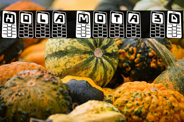 Hola Mota 3D Example 2