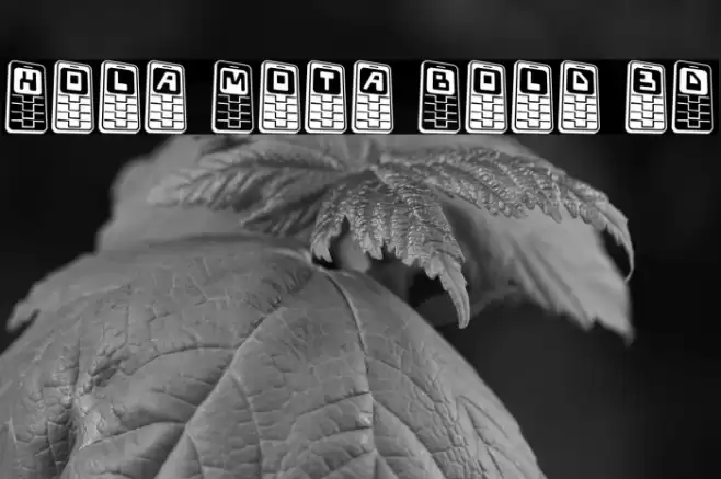 Hola Mota Bold 3D Font examples