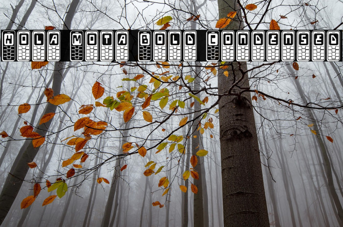 Hola Mota Bold Condensed Example 2