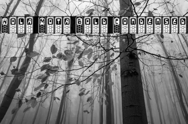 Hola Mota Bold Condensed Шрифта examples