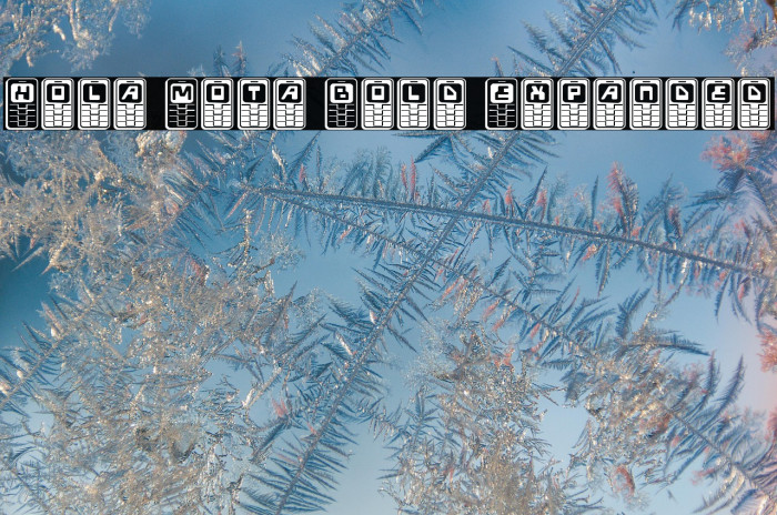 Hola Mota Bold Expanded Example 3