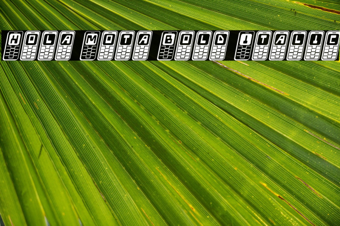 Hola Mota Bold Italic Example 1