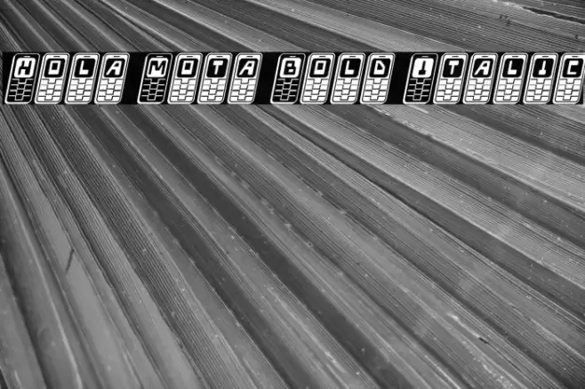 Hola Mota Bold Italic Font examples